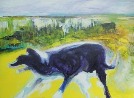 Working Dog